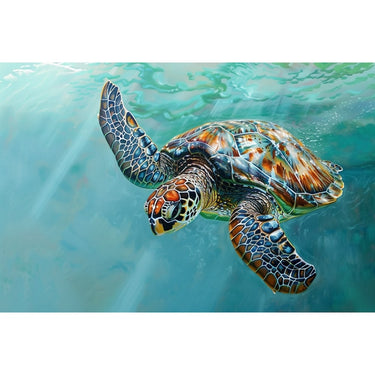 Canvas of a Turtle